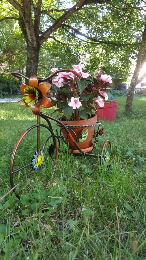 مبيت وإفطار داي Le Saule Reveur المظهر الخارجي الصورة